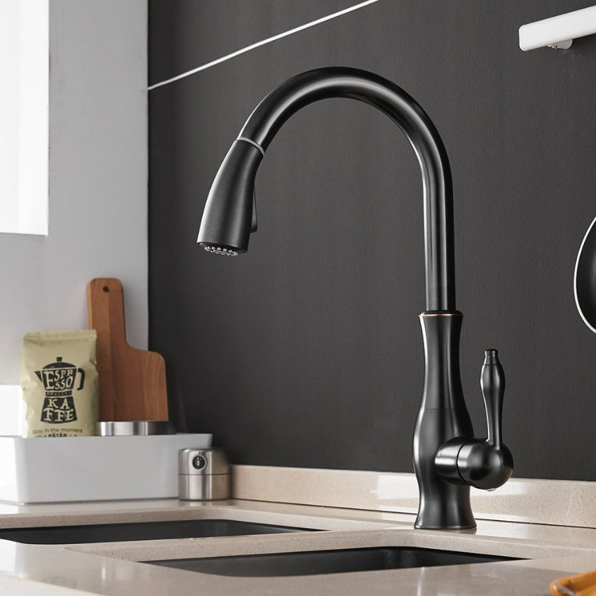 AquaStream | Kitchen Tap – Flexible Pull-Out Spout for Easy Use Black 17.7 × 8.7 in (45 × 22 cm) Kitchen Sink Faucets Decoluxe.co.uk