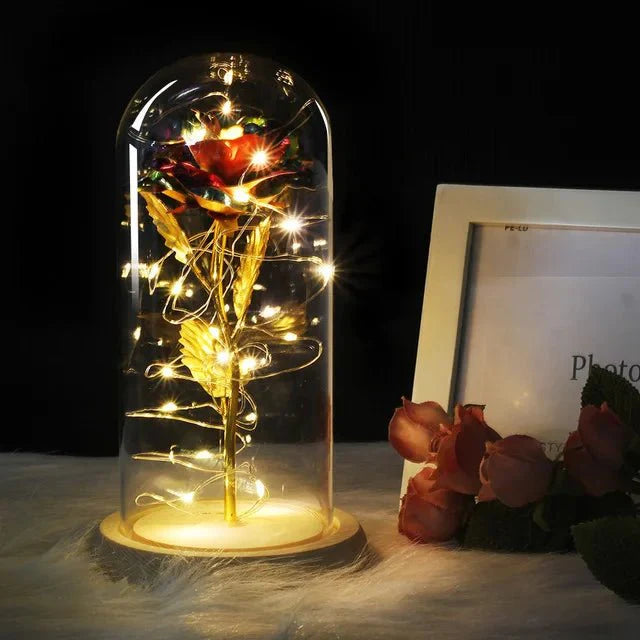 EternalBloom | Preserved Rose – Warm LED Glow Decoluxe.co.uk