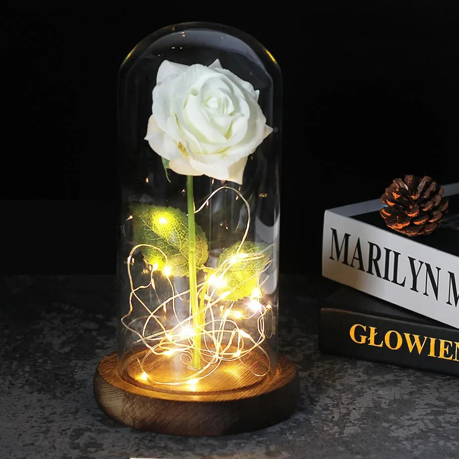 EternalBloom | Preserved Rose – Warm LED Glow Classic dark white Decoluxe.co.uk
