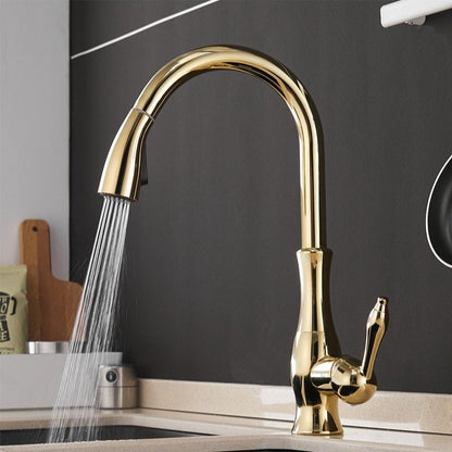AquaStream | Kitchen Tap – Flexible Pull-Out Spout for Easy Use Gold 17.7 × 8.7 in (45 × 22 cm) Kitchen Sink Faucets Decoluxe.co.uk