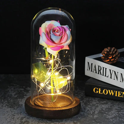 EternalBloom | Preserved Rose – Warm LED Glow Classic Dark Rainbow Decoluxe.co.uk