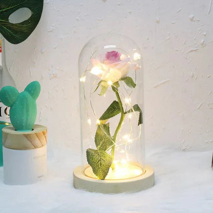 EternalBloom | Preserved Rose – Warm LED Glow Classic Light Pink Decoluxe.co.uk