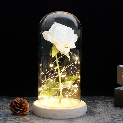 EternalBloom | Preserved Rose – Warm LED Glow Classic light white Decoluxe.co.uk