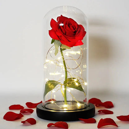 EternalBloom | Preserved Rose – Warm LED Glow Decoluxe.co.uk