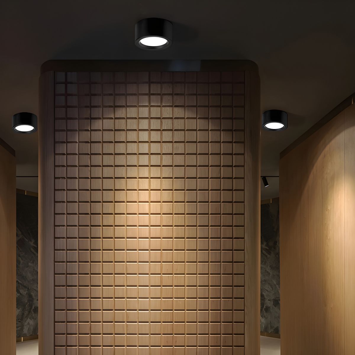 PureNord | Ceiling Light – Simple Contemporary Ceiling Design Black Ceiling Light Fixtures Decoluxe.co.uk